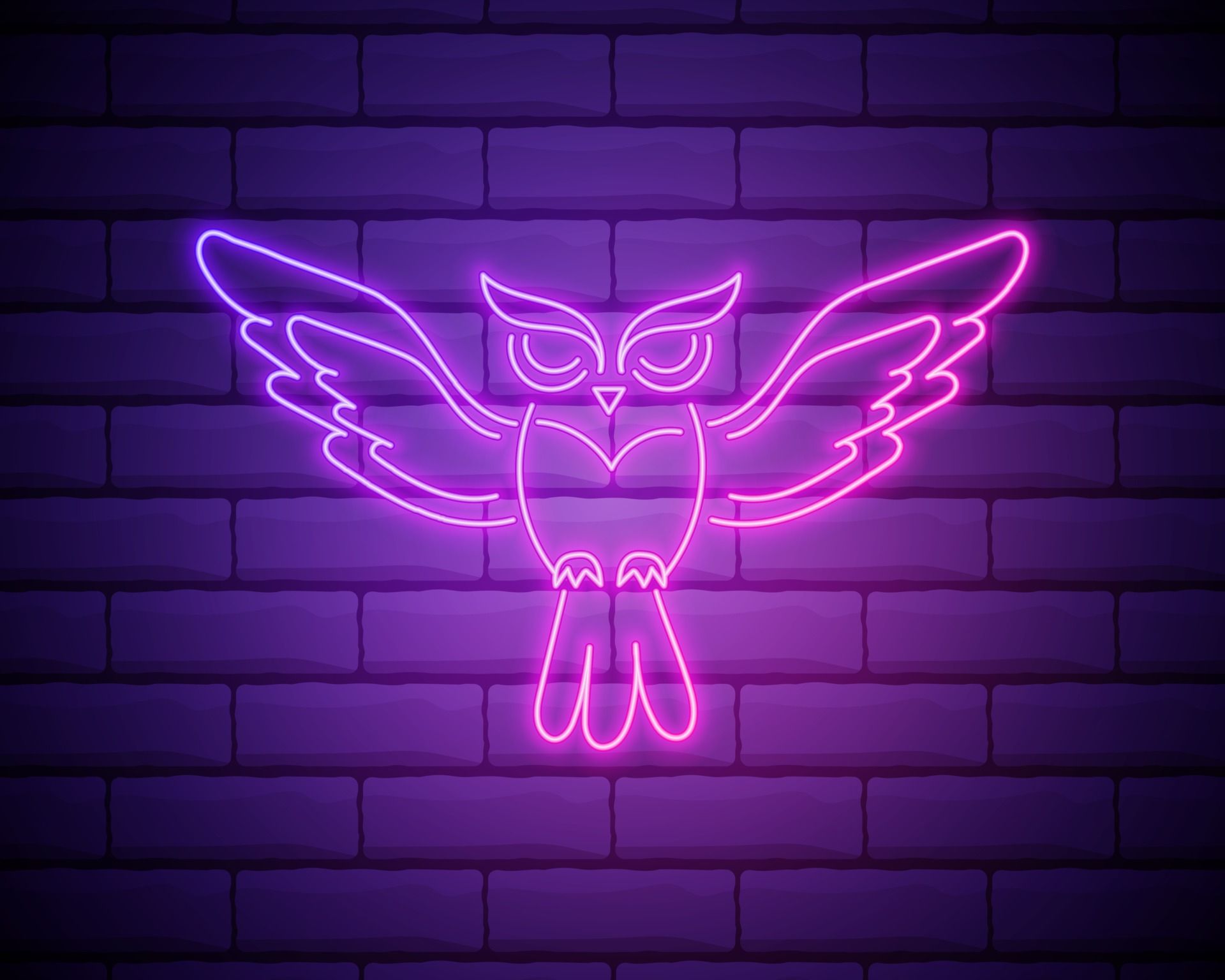 Eule, Flügel, Neonschild, Lila, Ziegelwand, Full HD, Desktop-Hintergrund für Windows