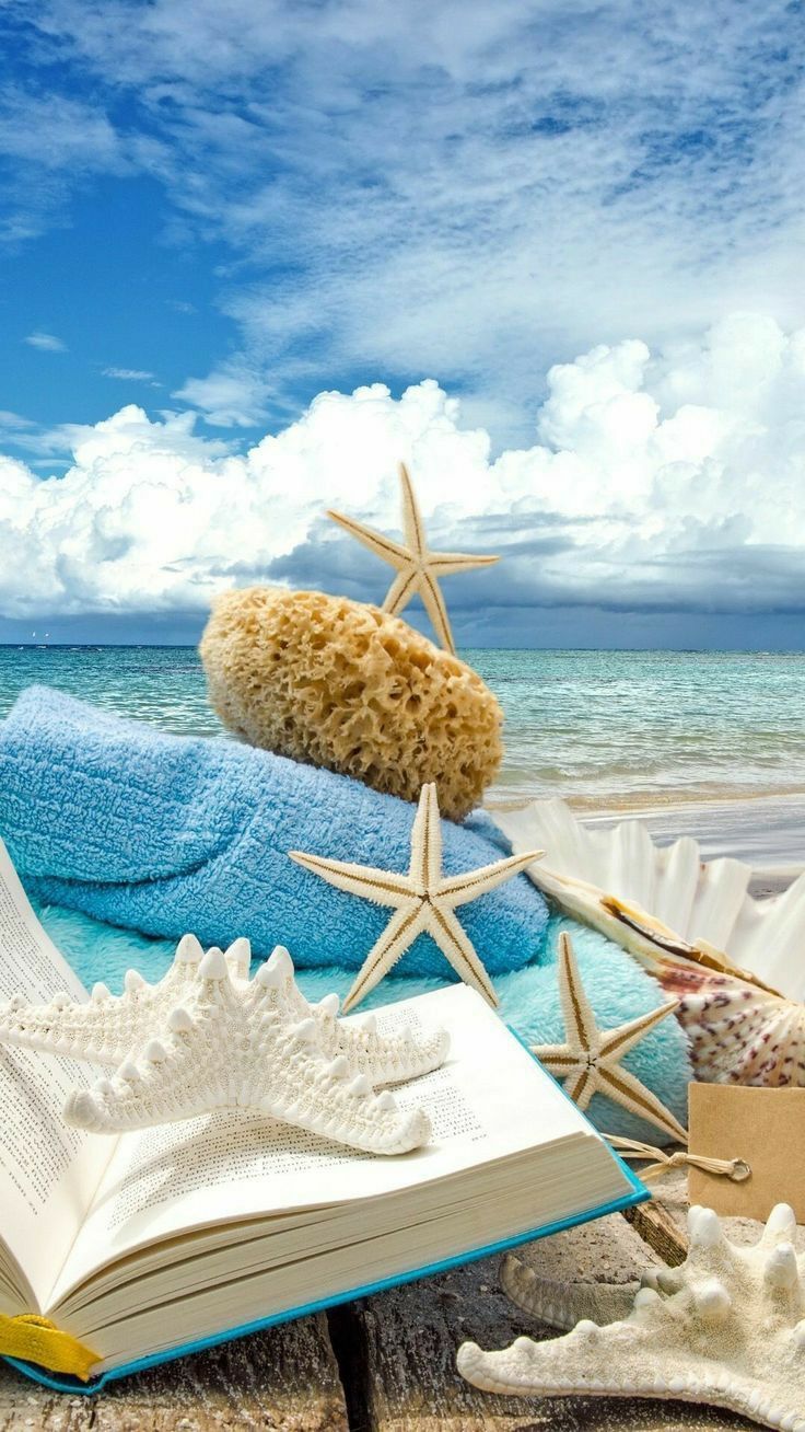 Muscheln, Seestern, Buch, Strand, Sommer, HD, Hintergrundbild fürs Handy