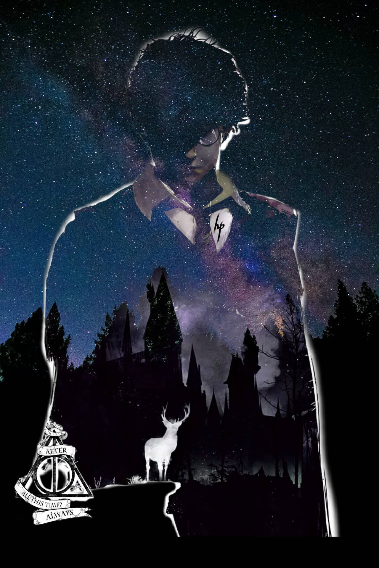 Harry Potter, Silhouette, Hogwarts, Hedwig, Sternenhimmel, Android-Hintergrundbild