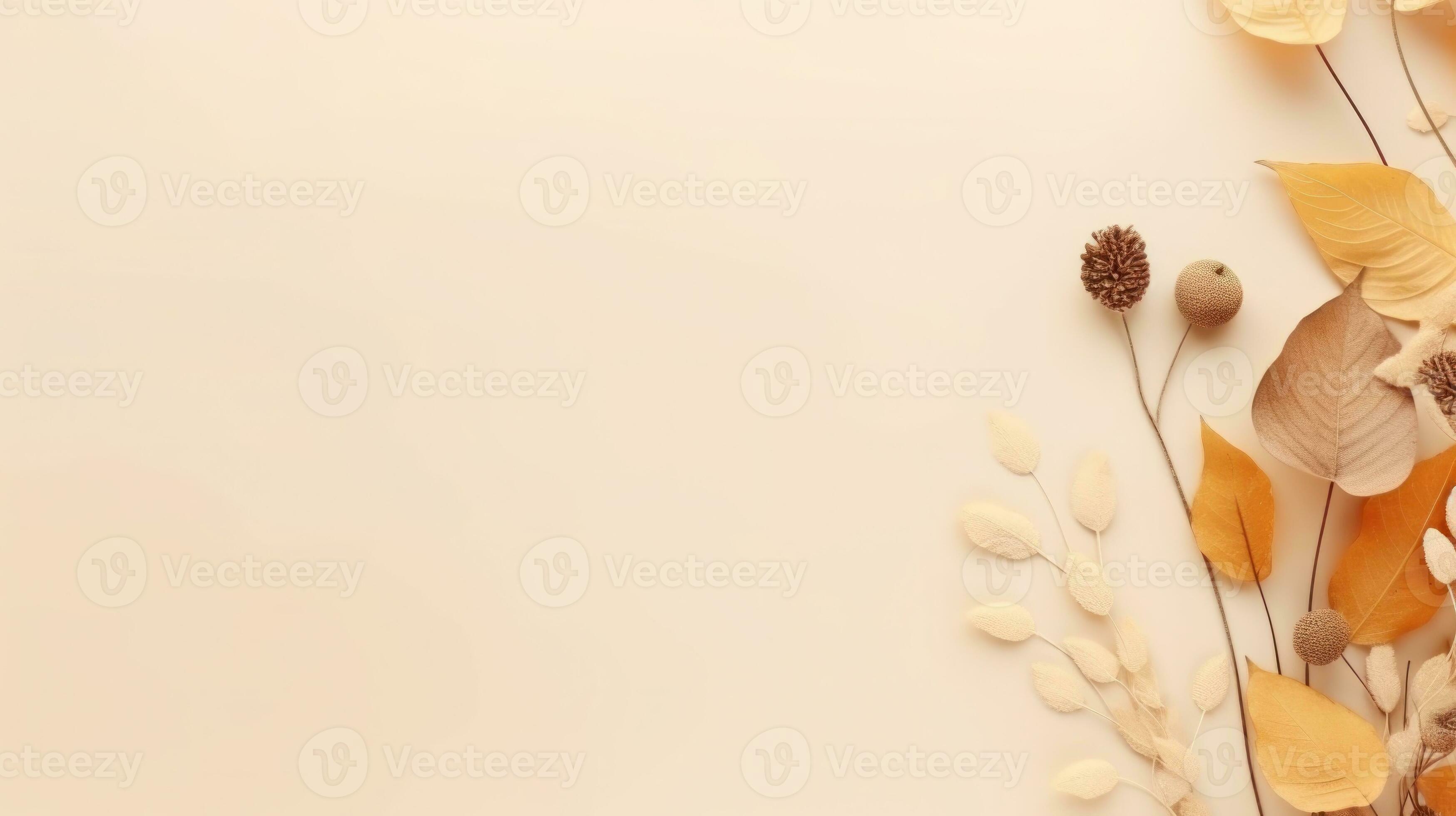 Trockenblumen, Herbstblätter, Cremefarben, Rahmen, Natur, 2K, Windows-Hintergrundbild
