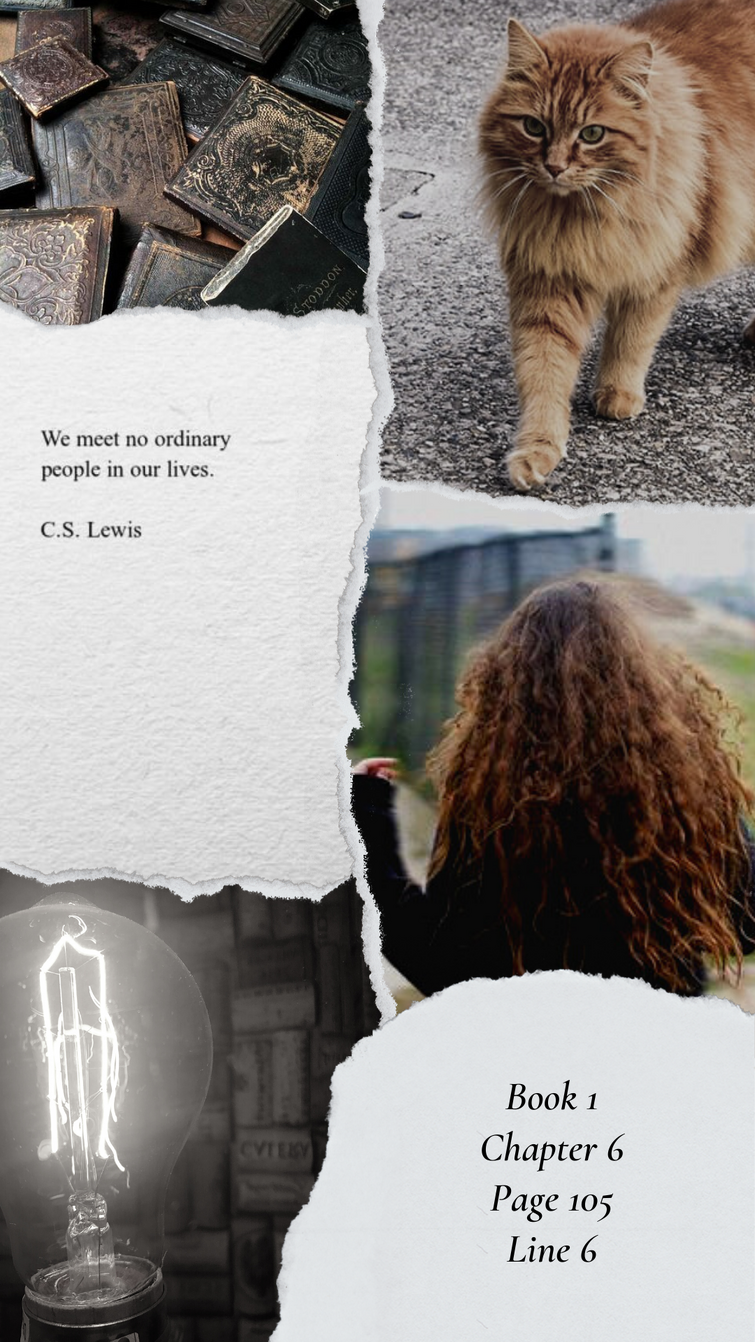 Hermine Granger, Krummbein, Harry Potter, Zitat, Collage, HD, iPhone-Hintergrundbild