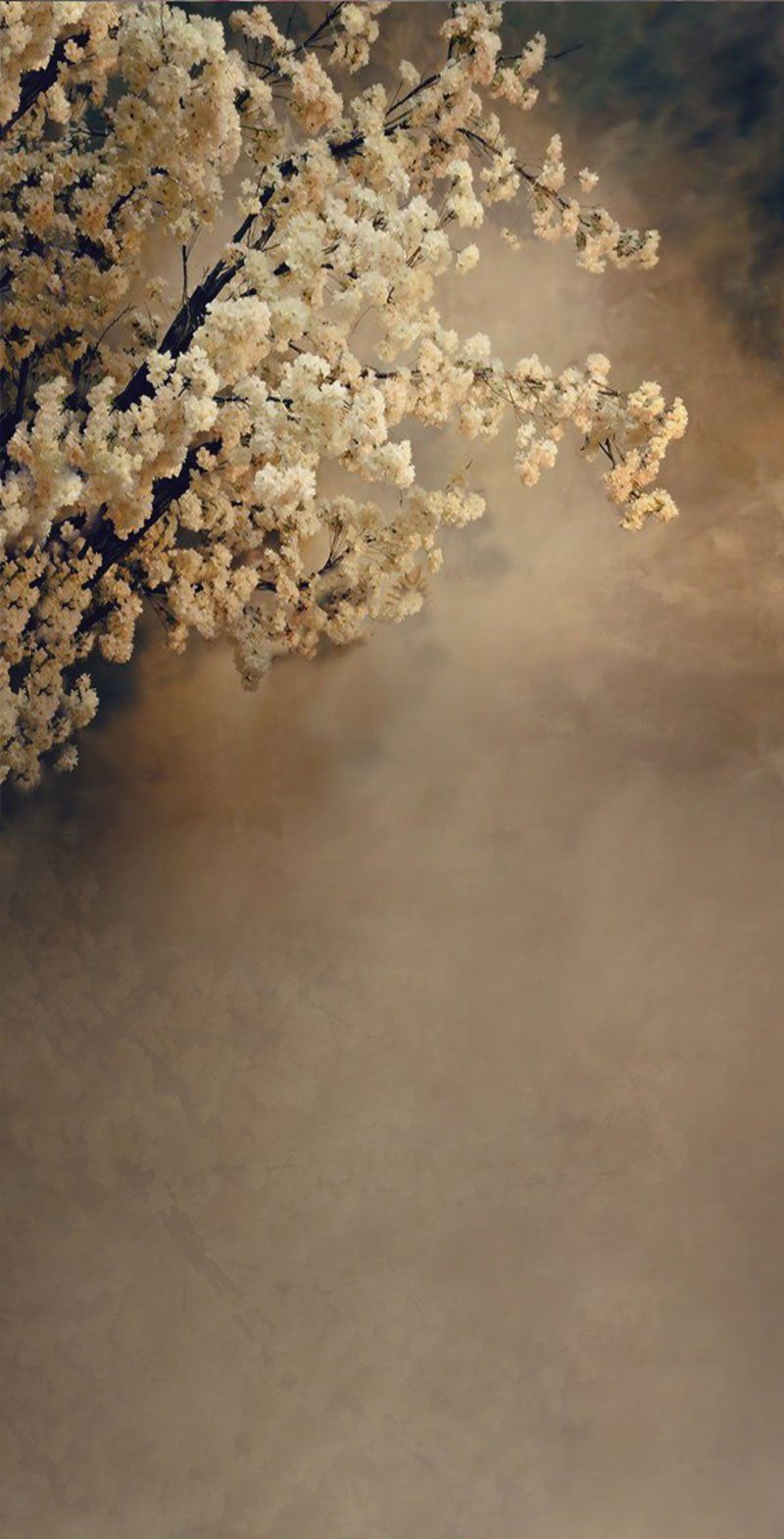 Schleierkraut, Trockenblumen, Vintage, Dunkel, Fine-Art, HD, iPhone-Hintergrundbild