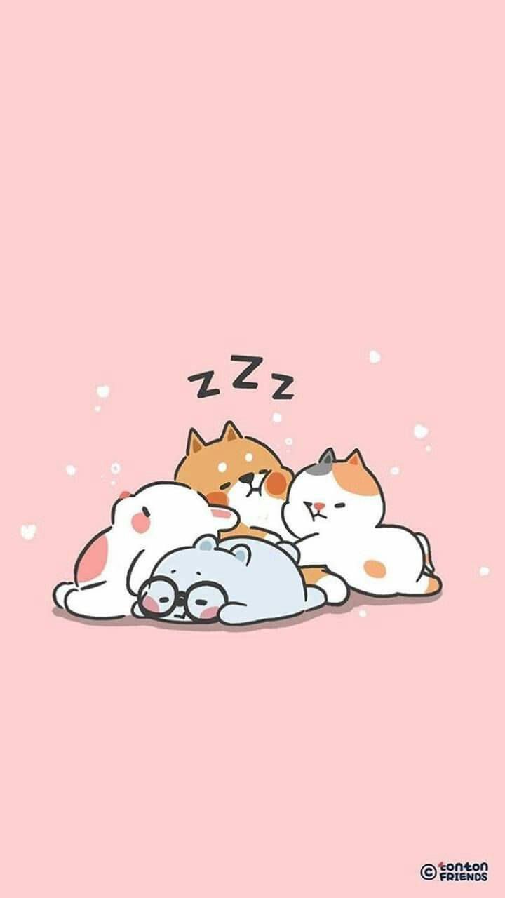 Katzen, Schlafen, Kawaii, Rosa Hintergrund, Minimalistisch, Sperrbildschirm fürs iPhone