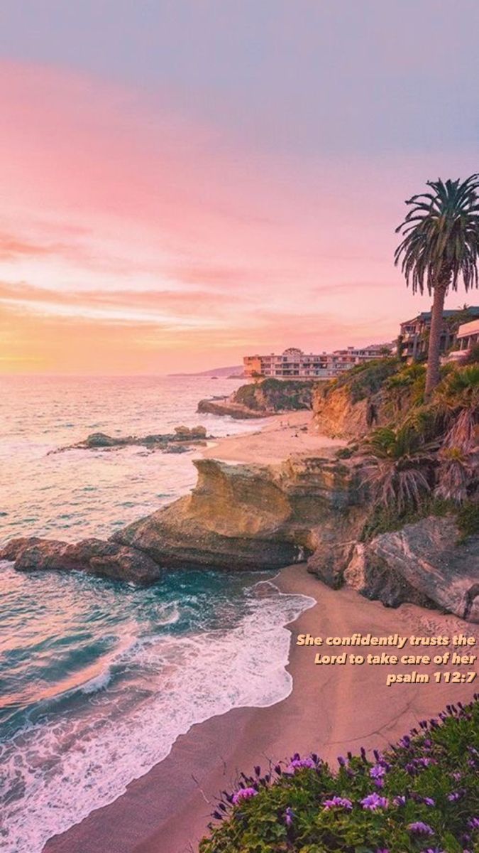 Felsenküste, Sonnenuntergang, Palmen, Rosa Himmel, Bucht, Hintergrundbild fürs Handy