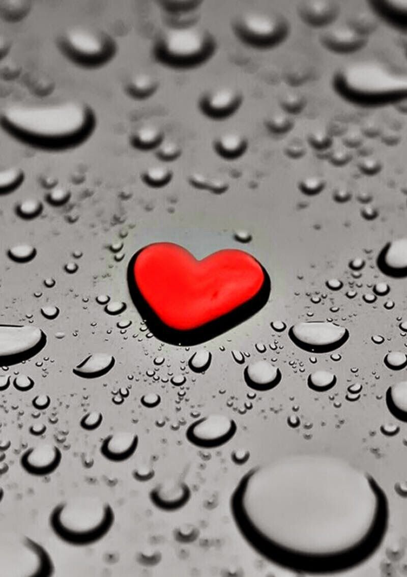 Rotes Herz, Wassertropfen, Makro, Grauer Hintergrund, HD Wallpaper
