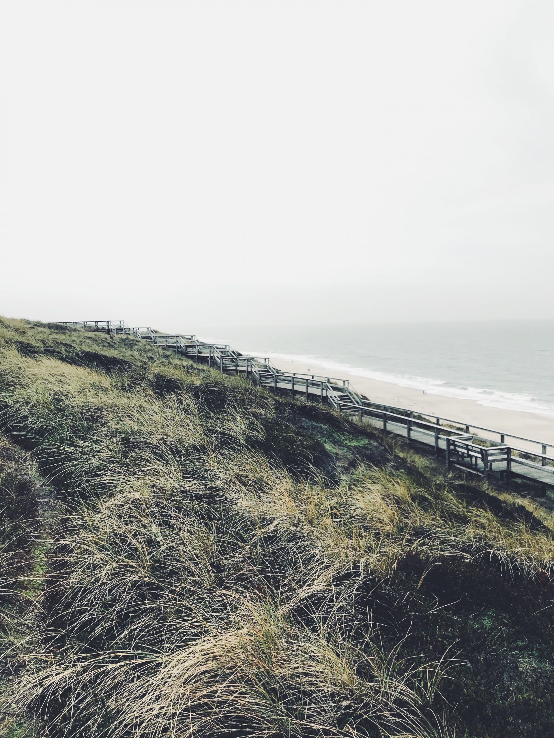 Düne, Dünengras, Zaun, Nebel, Nordsee, QHD+, Hintergrundbild fürs Tablet