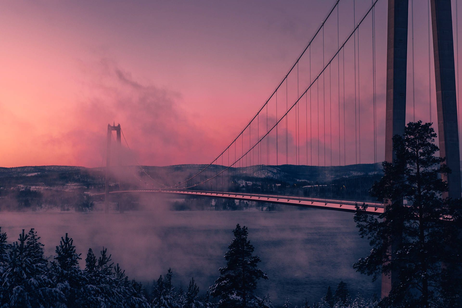 Hängebrücke, Nebel, Rosa Himmel, Nadelbäume, Dämmerung, Full HD, Desktop-Hintergrund für Windows