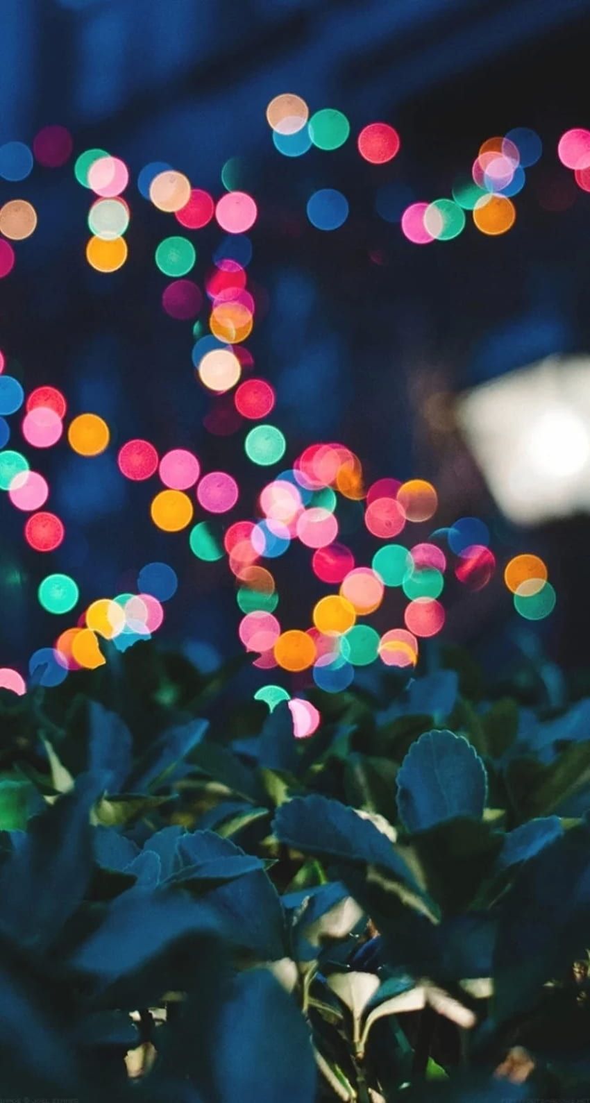 Bokeh, Bunte Lichter, Pflanzen, Nacht, HD, Handy-Hintergrund im Hochformat