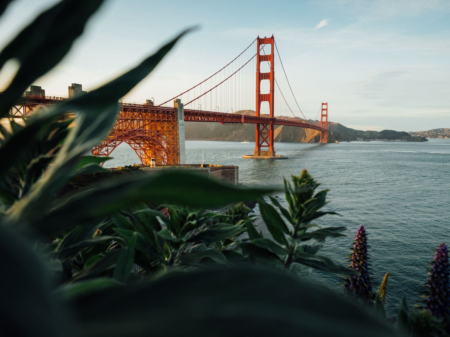 Golden Gate Bridge, San Francisco, Bucht, Pflanzen, Meer, HD, iPad-Hintergrundbild