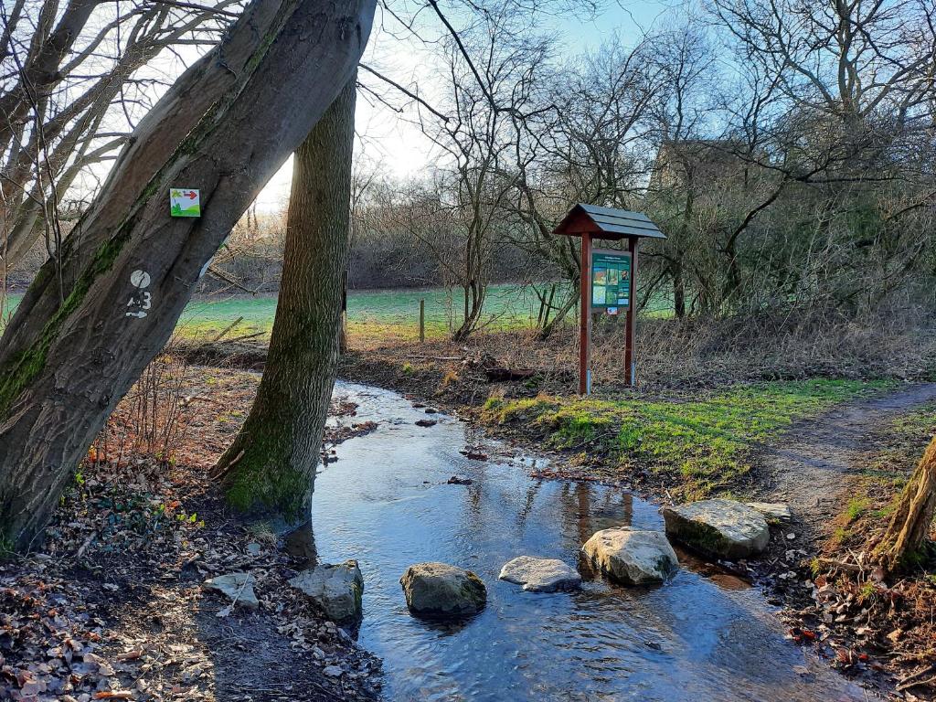 Holzbrücke, Bach, Bäume, Park, Steine, Hintergrundbild für iPad und Tablet