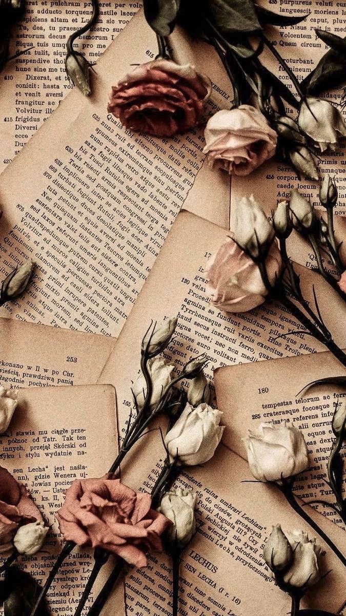 Buchseiten, Getrocknete Rosen, Flatlay, Vintage, Beige, Hochformat, Hintergrundbild fürs Smartphone
