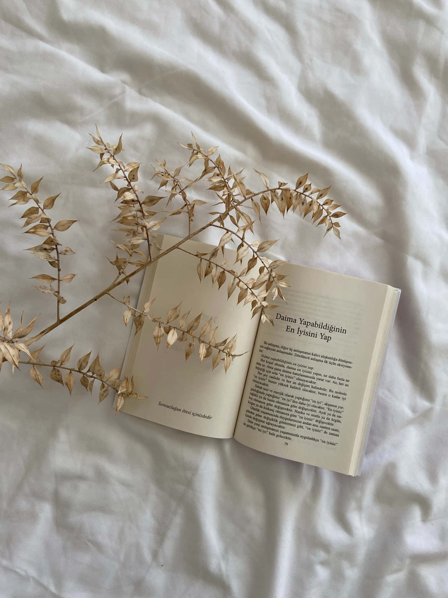Offenes Buch, Getrocknete Gräser, Weißes Laken, Flatlay, Helle Töne, QHD+, Tablet-Hintergrund