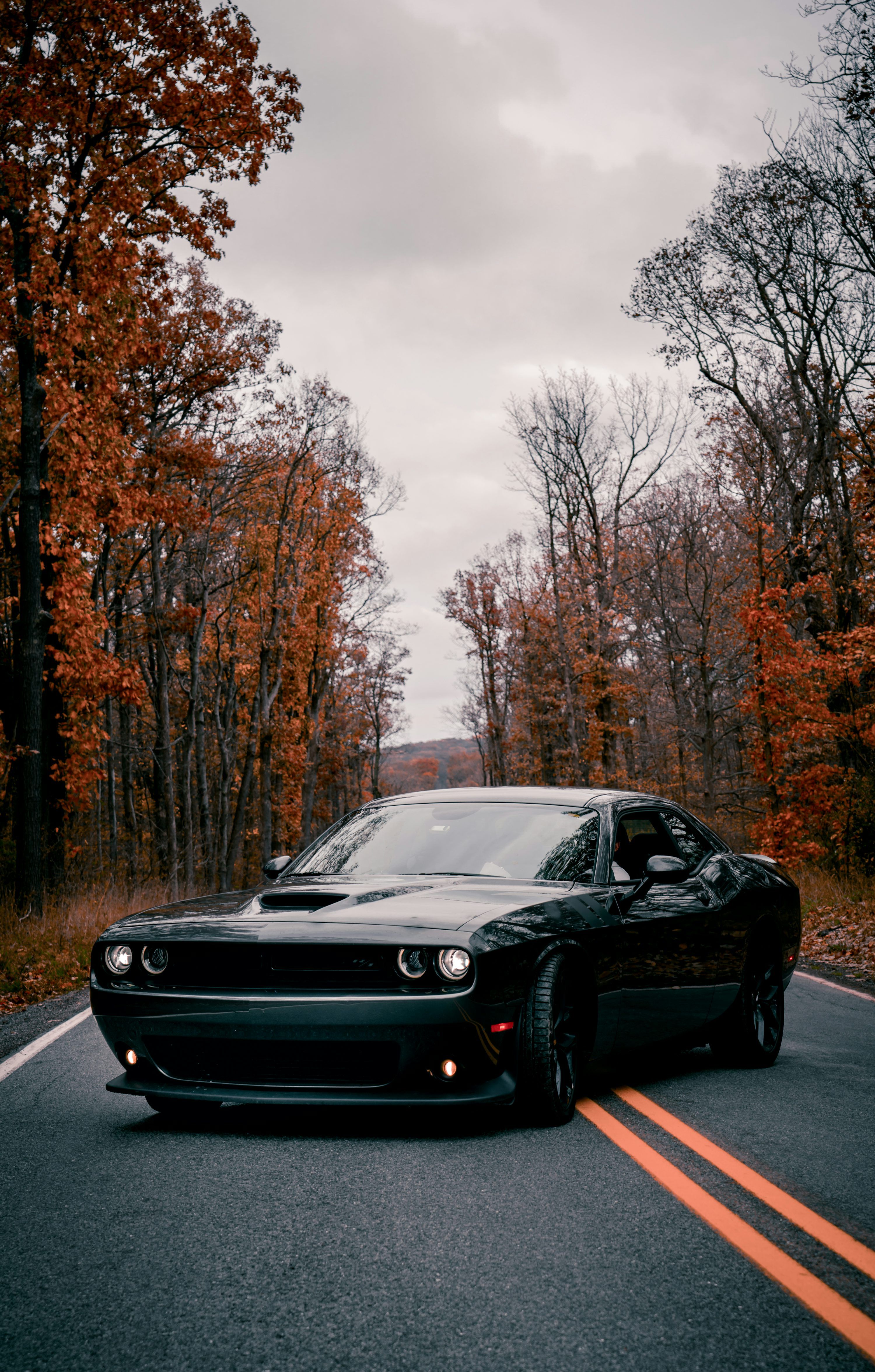 Dodge Challenger, Herbstwald, Landstraße, Schwarzes Auto, Muscle-Car, Android-Hintergrundbild