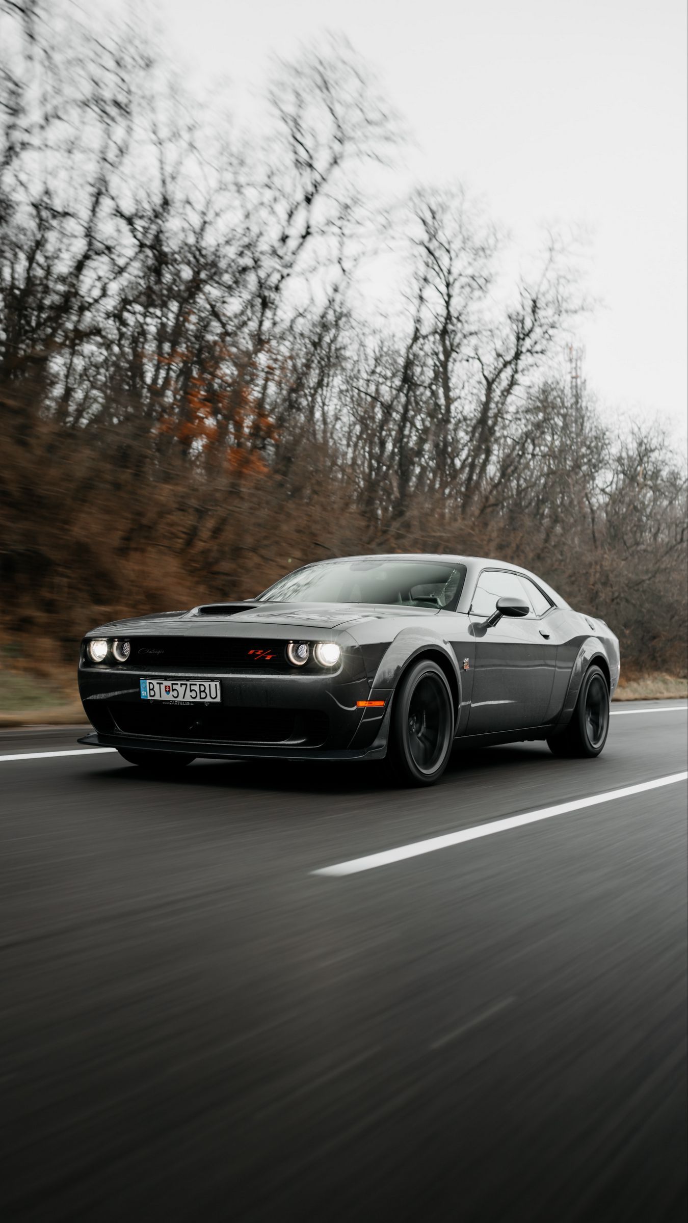Dodge Challenger, Landstraße, Kahle Bäume, Grau, Muscle-Car, Full HD, Handy-Hintergrundbild