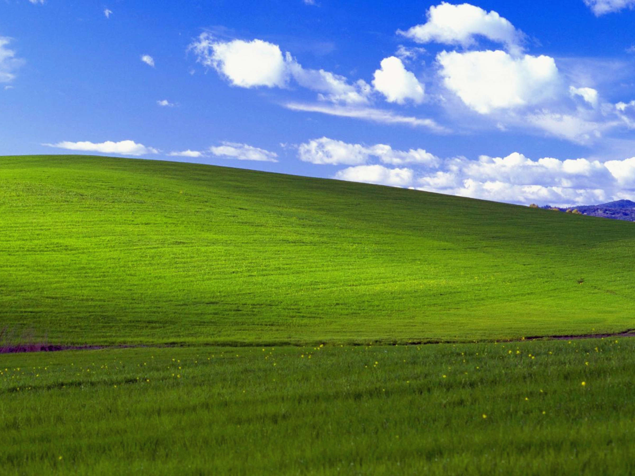 Bliss, Windows XP, Grüne Wiese, Hügel, Blauer Himmel, Wolken, Full HD, Tablet-Hintergrund