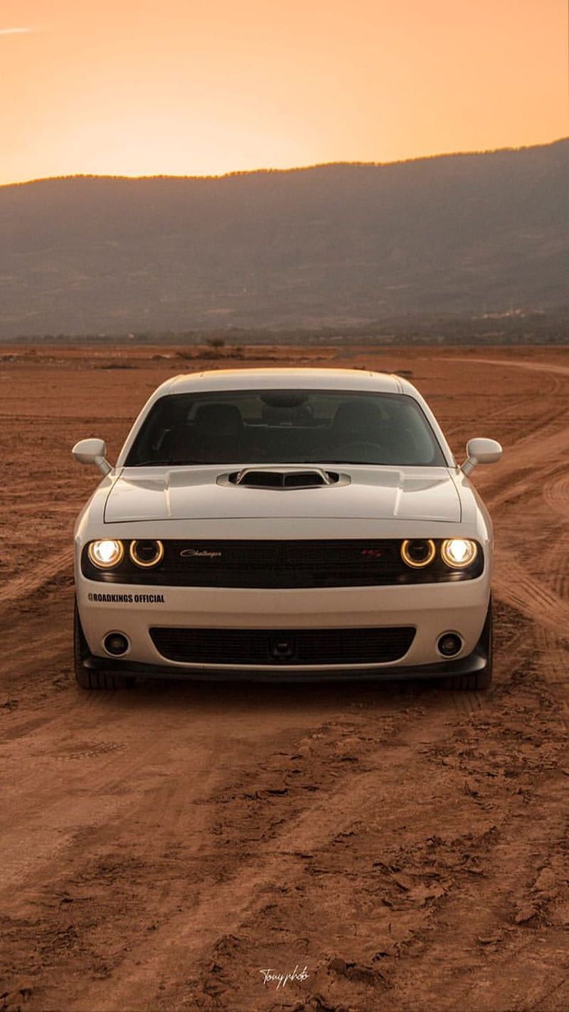 Dodge Challenger, Weißes Auto, Wüste, Staubpiste, Sonnenuntergang, Sperrbildschirm fürs iPhone