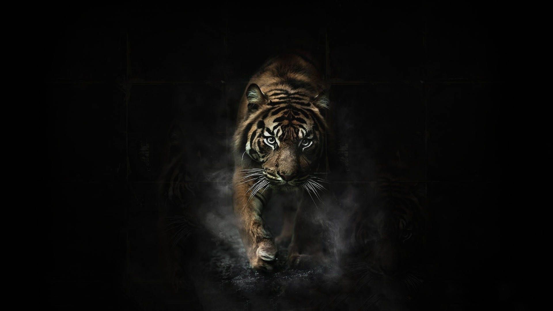 Tiger, Rauch, Schwarzer Hintergrund, Low Key, Full HD Wallpaper