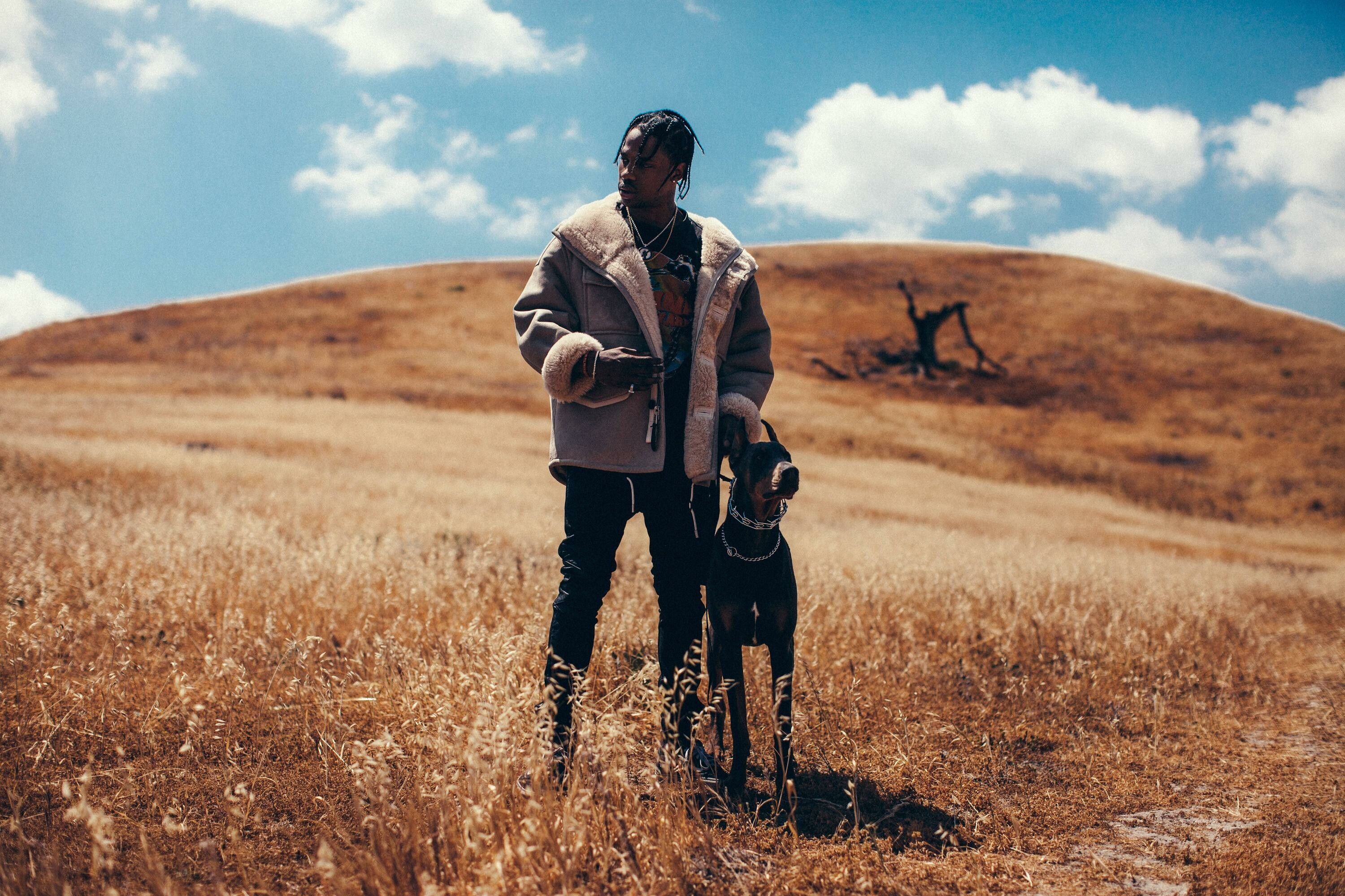 Travis Scott, Hund, Hügel, Trockenes Gras, Blauer Himmel, 2K, PC-Hintergrundbild