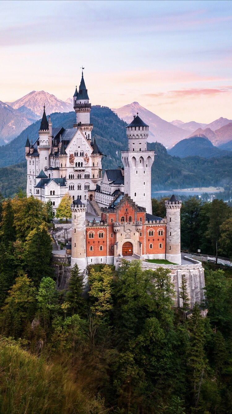 Schloss Neuschwanstein, Alpen, Bayern, Abendrot, Wald, HD, Hintergrundbild fürs Handy