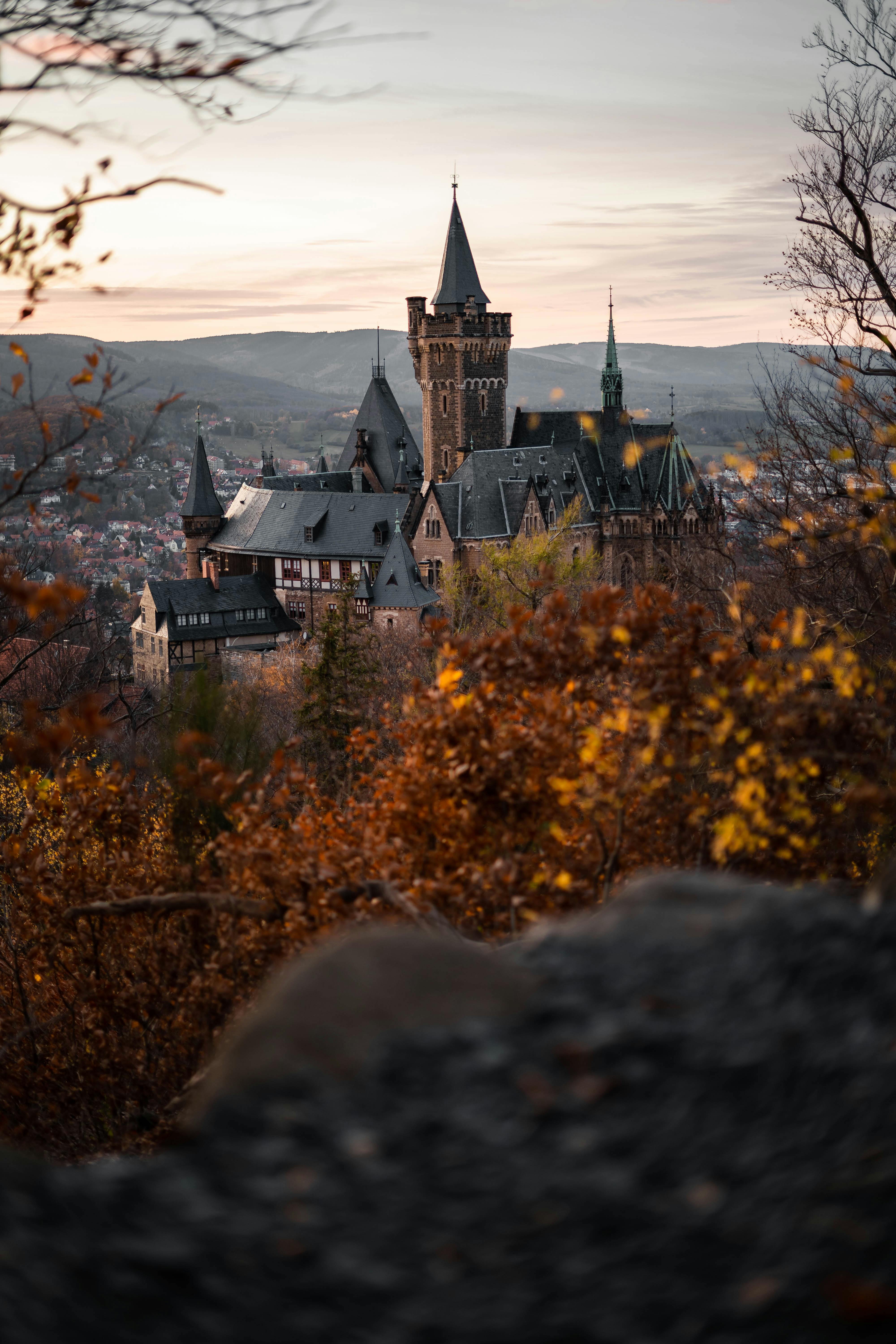 Burg, Herbst, Wald, Abendlicht, Türme, QHD+, Hintergrundbild fürs Handy