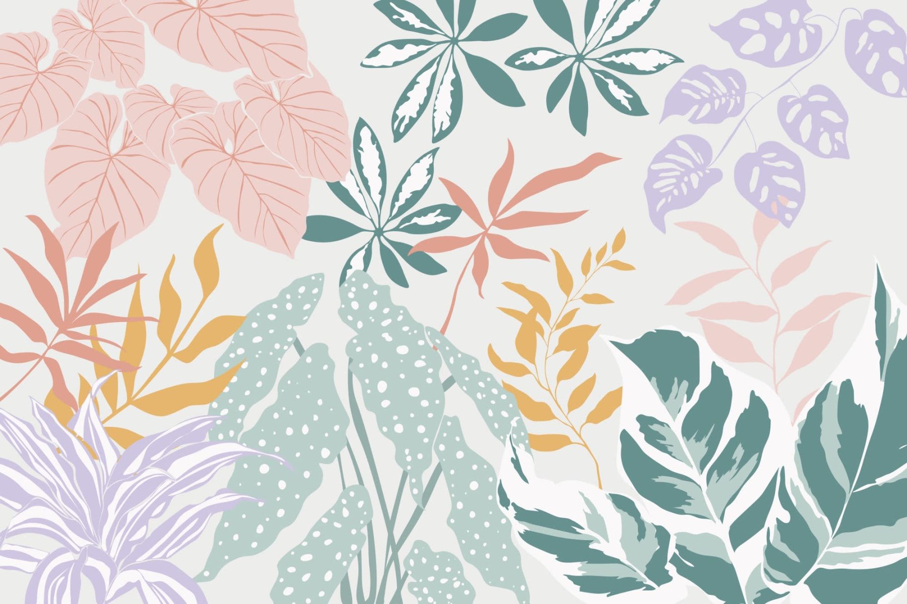 Tropische Blätter, Monstera, Pflanzen, Botanisch, Pastellfarben, HD, PC-Hintergrundbild