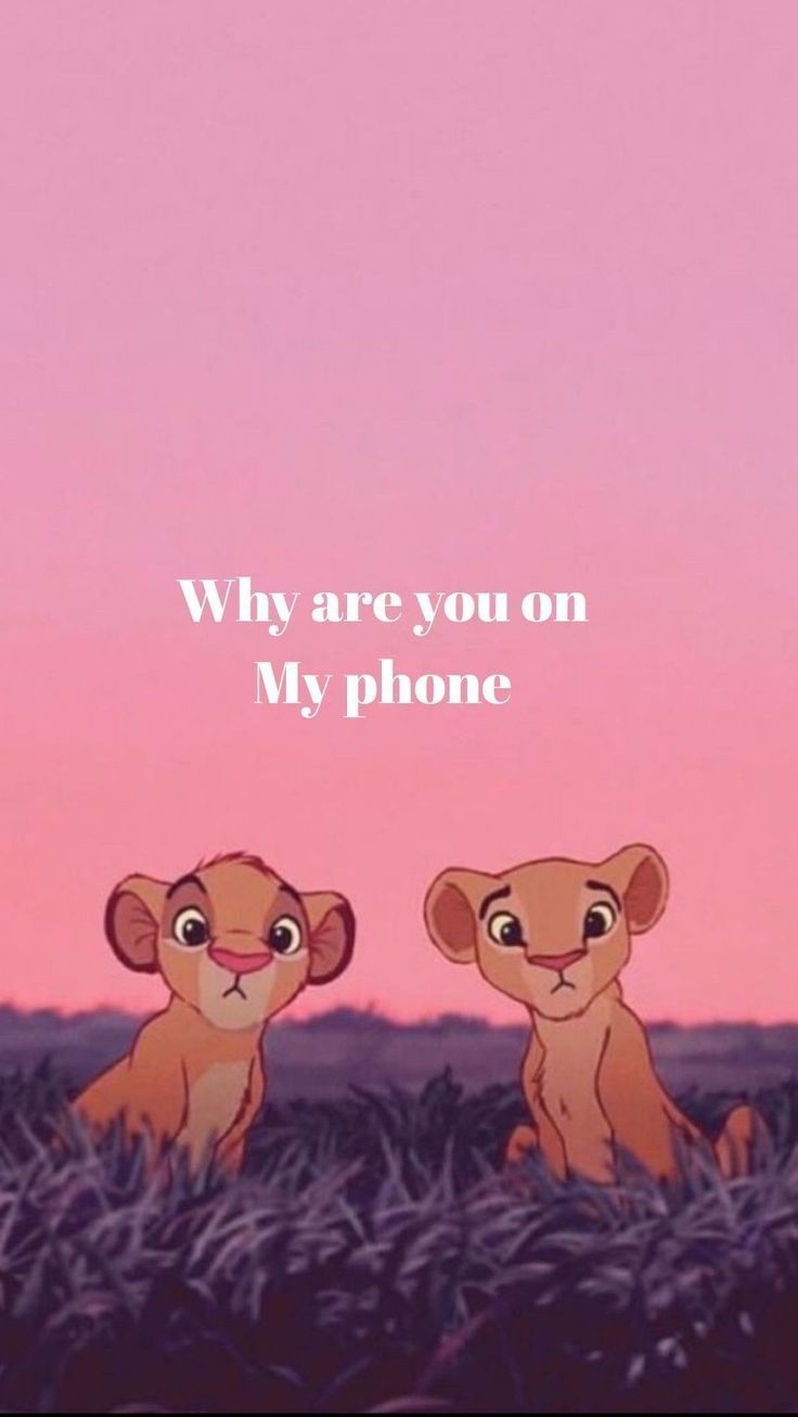 Simba, Nala, Der König der Löwen, Why are you on my phone, Rosa Himmel, HD, Handy-Hintergrund