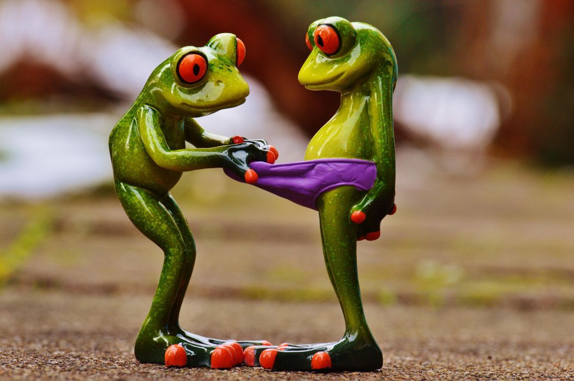 Froschfiguren, Unterhose, Humor, Figuren, Unschärfe, Hintergrundbild
