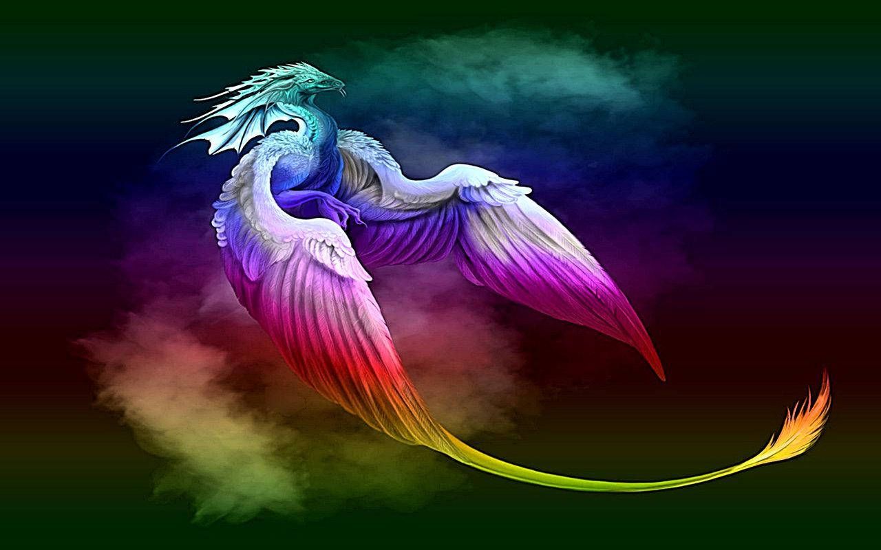 Drache, Regenbogenfarben, Gefieder, Bunter Hintergrund, Fantasy, HD Wallpaper