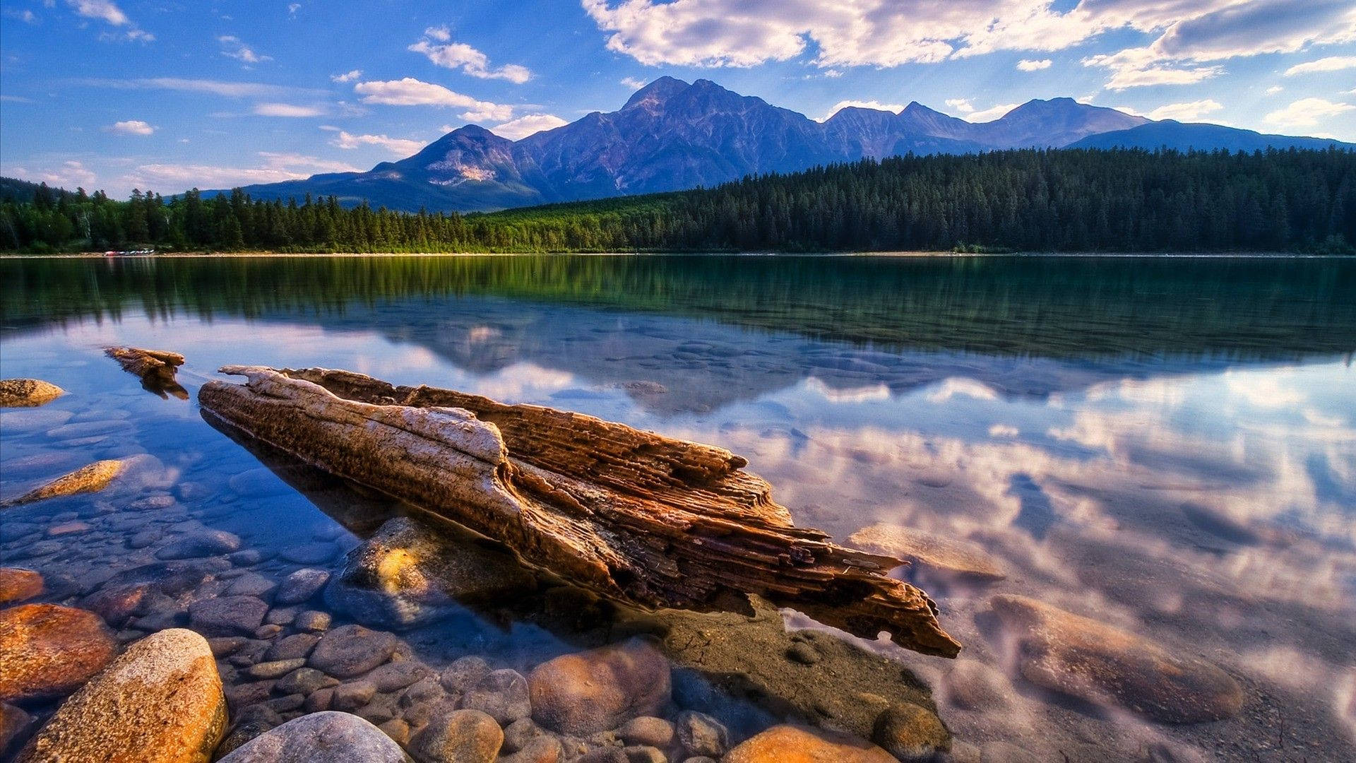 Bergsee, Treibholz, Klares Wasser, Wolkenspiegelung, Bergkette, Full HD, Windows-Hintergrundbild