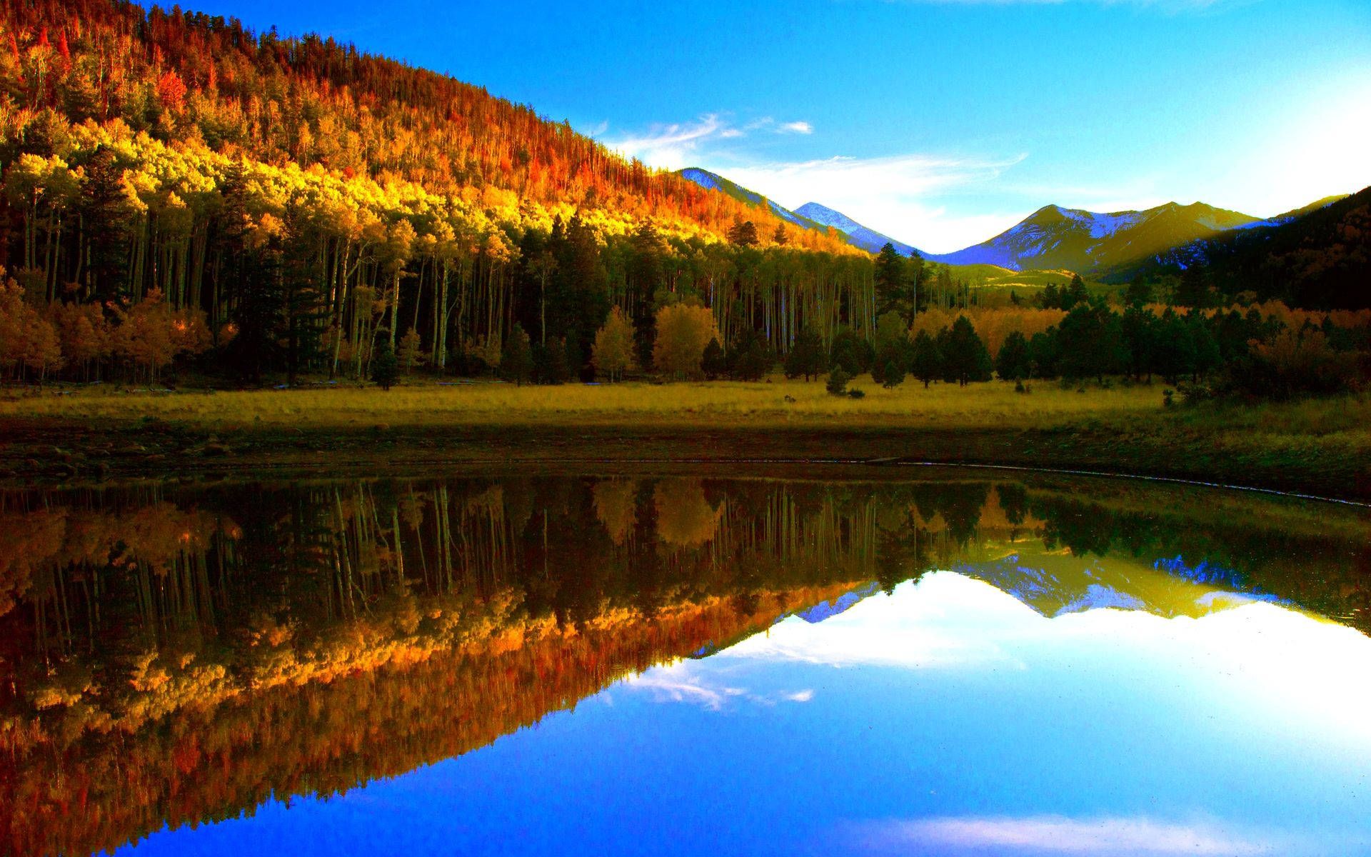 Bergsee, Herbstwald, Spiegelung, Blauer Himmel, Goldener Herbst, Full HD, Breitbild-Hintergrundbild