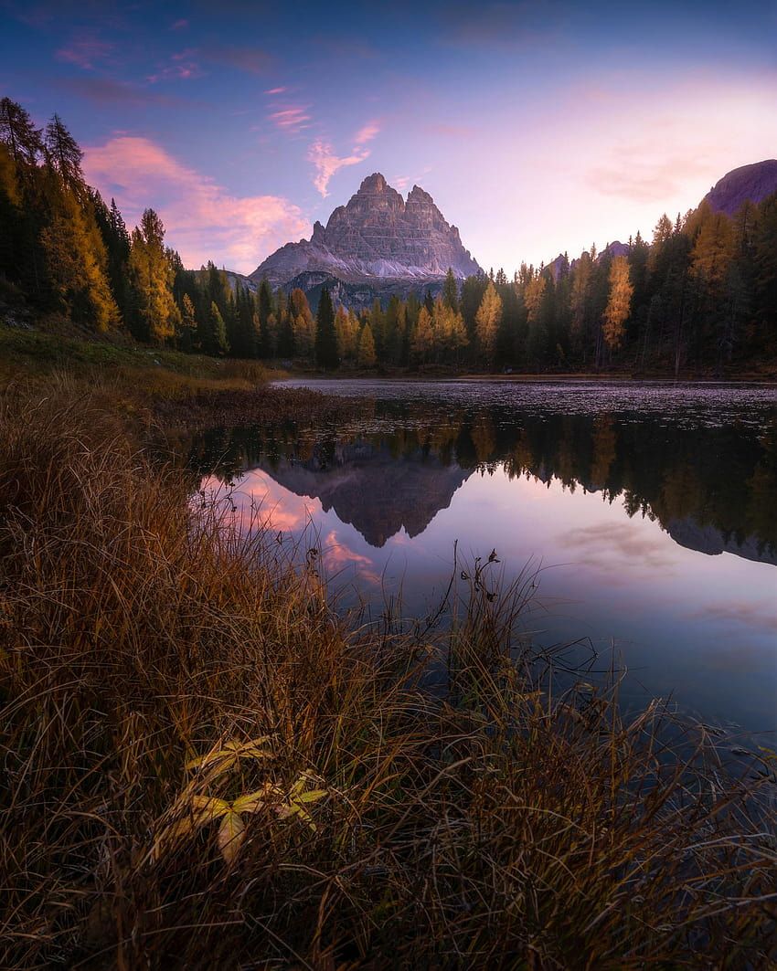 Lago d'Antorno, Drei Zinnen, Abenddämmerung, Rosa Himmel, Gräser, HD, iPad-Hintergrundbild