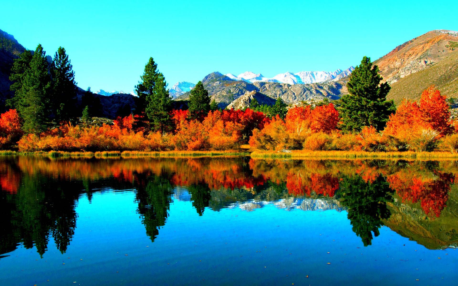 Bergsee, Herbstfarben, Rote Sträucher, Spiegelung, Blauer Himmel, Full HD, MacBook-Hintergrundbild