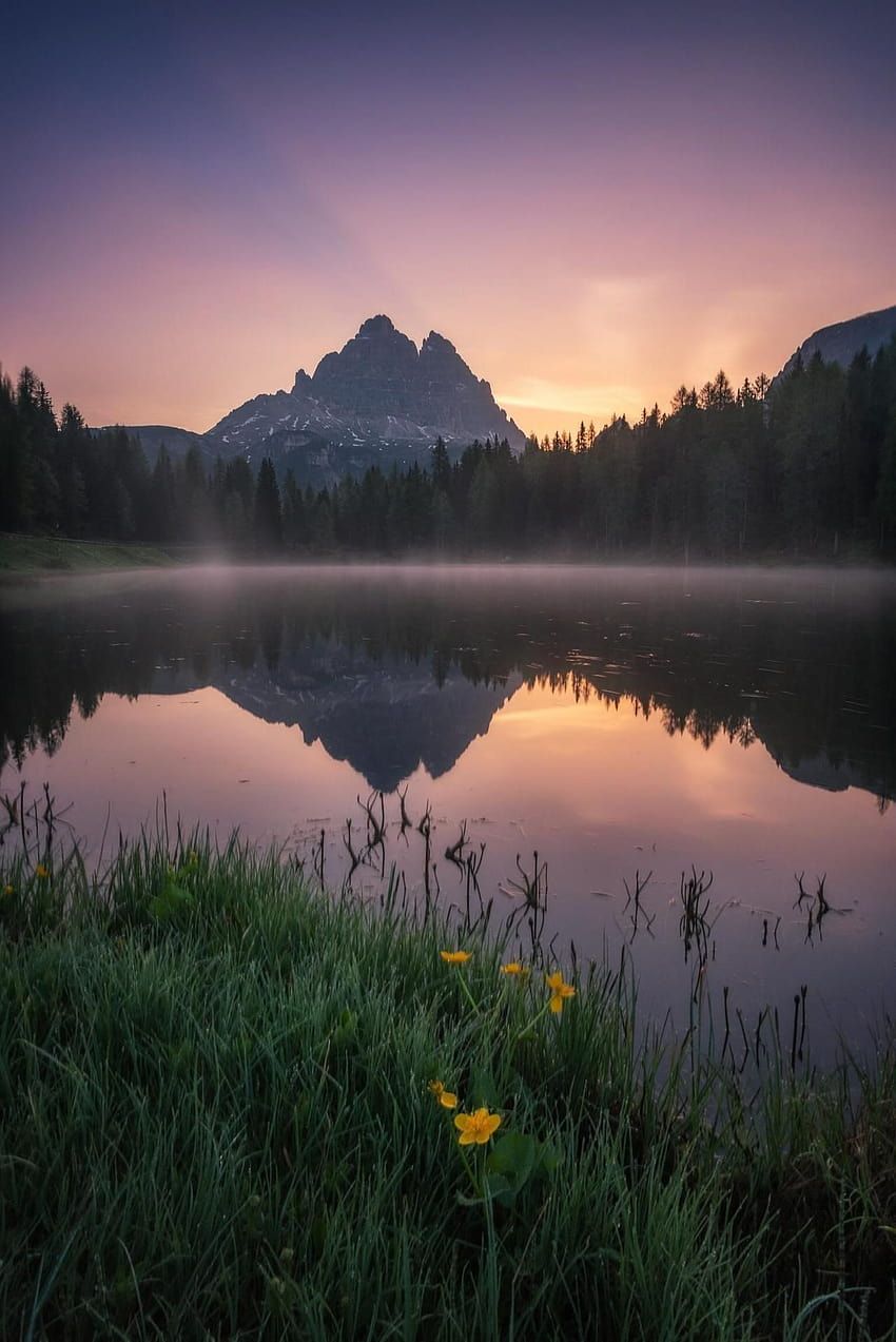Lago d'Antorno, Drei Zinnen, Sonnenaufgang, Nebel, Wildblumen, HD, Tablet-Hintergrund