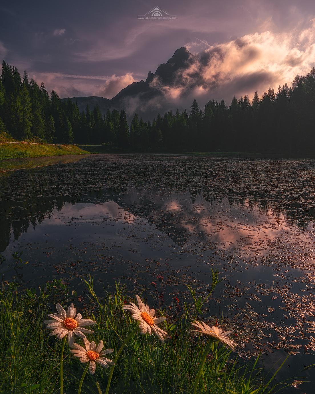 Lago d'Antorno, Dolomiten, Blumen, Wolken, Dämmerung, Full HD, Hintergrundbild fürs Tablet