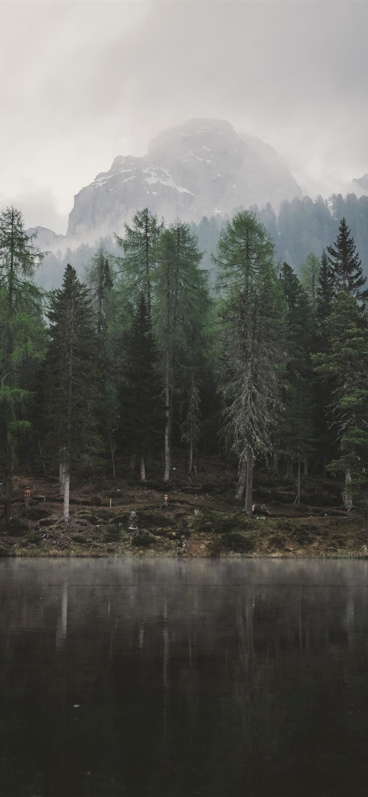 Bergsee, Nebel, Nadelwald, Grau, Mystisch, Full HD, Sperrbildschirm fürs iPhone