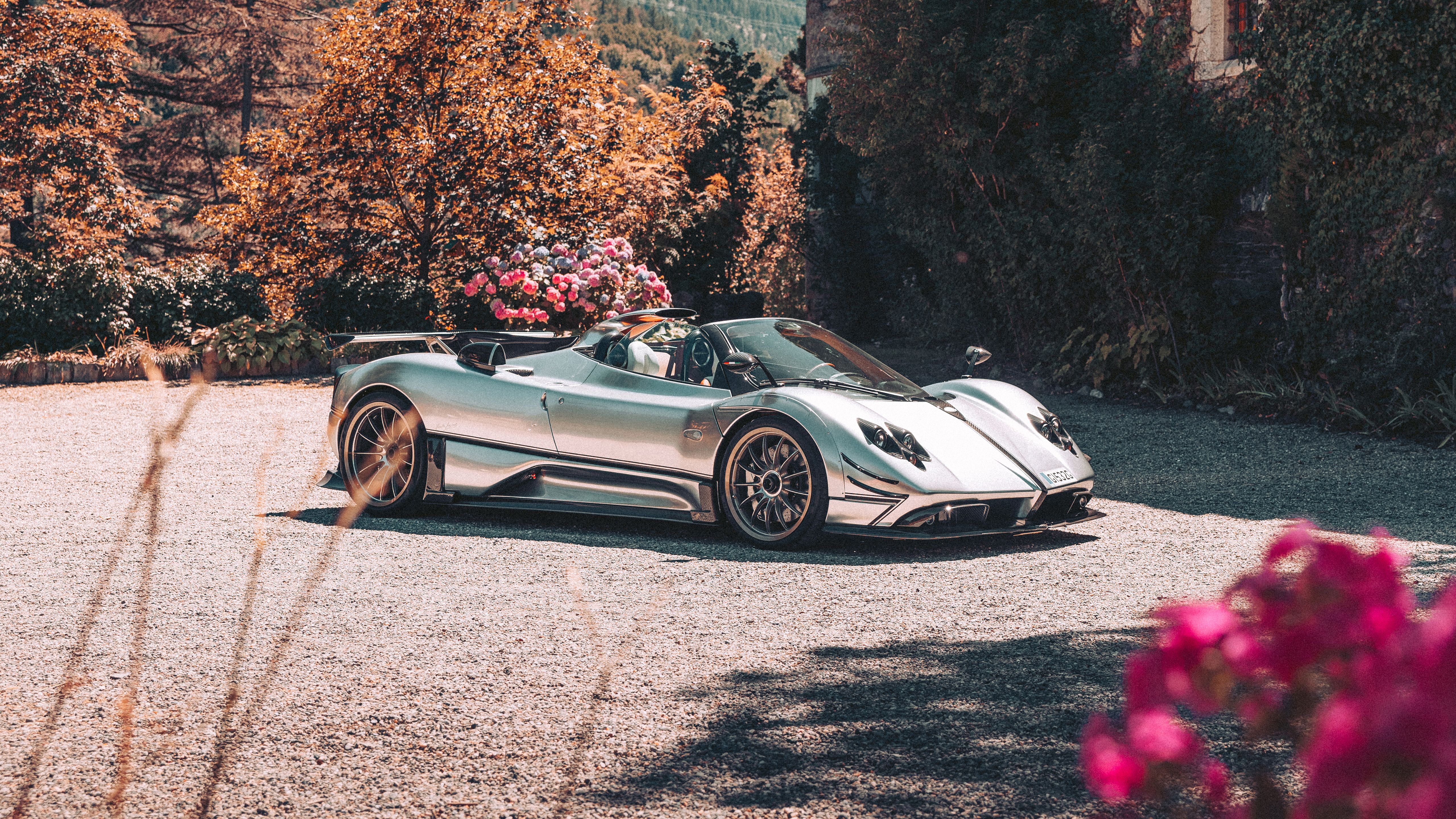 Pagani Zonda Roadster, Pagani Zonda, Cabrio, Silber, Herbstbäume, 5K-Hintergrundbild für PC