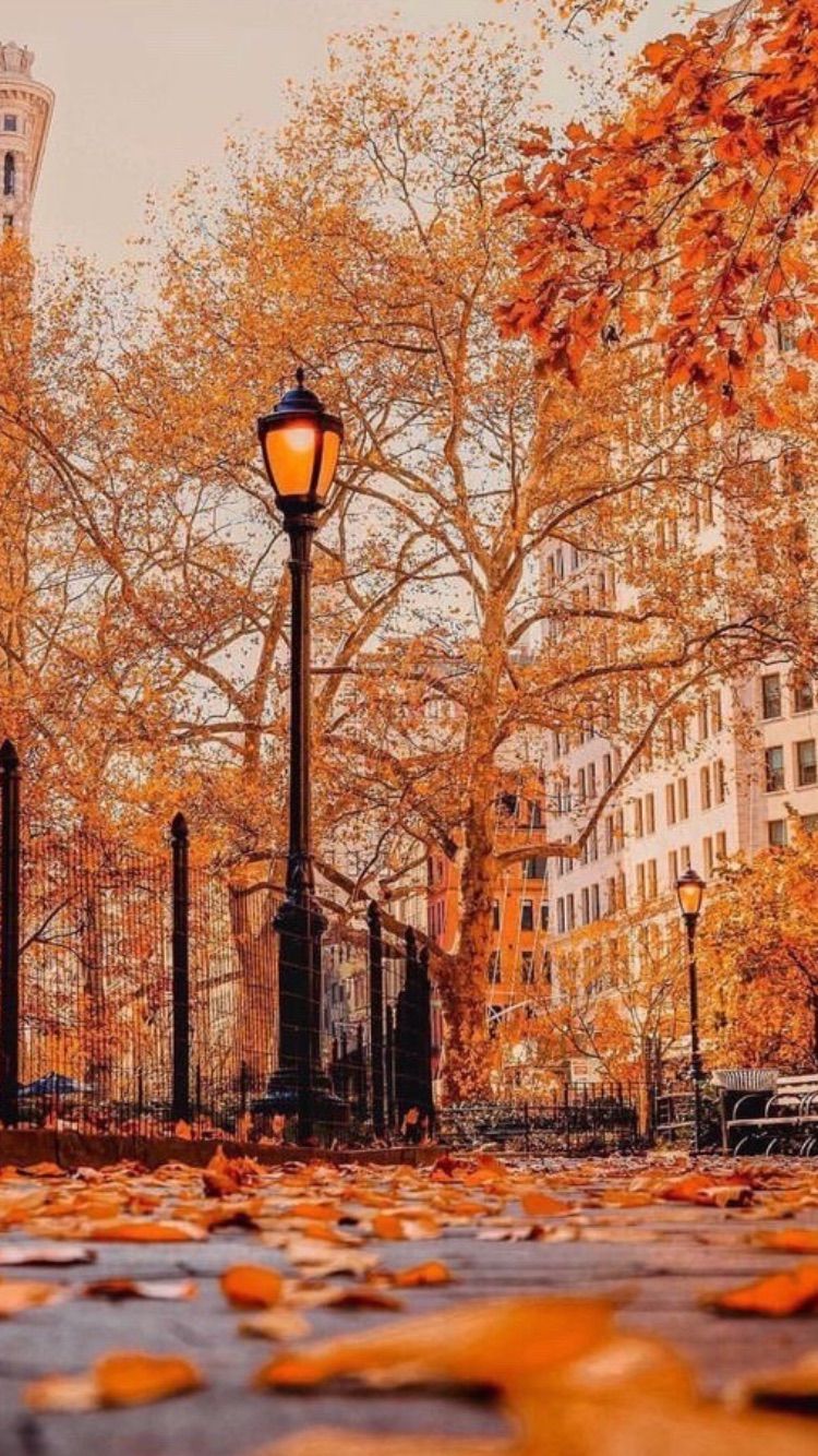 Straßenlaterne, Stadtpark, Herbstlaub, Laub auf dem Weg, Bäume, HD, Handy-Hintergrund