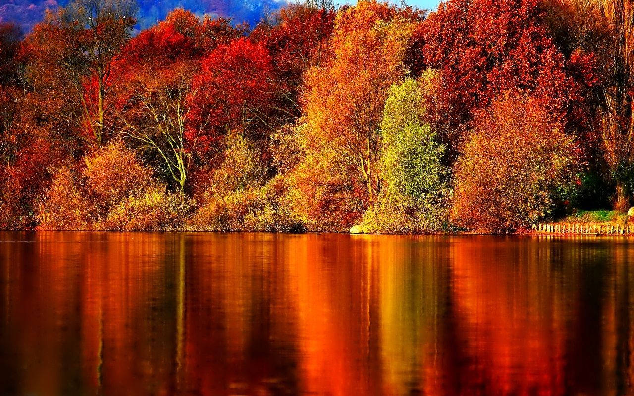 See, Spiegelung, Herbstwald, Bunte Bäume, Rot, 16:10, HD-Hintergrundbild für den Desktop