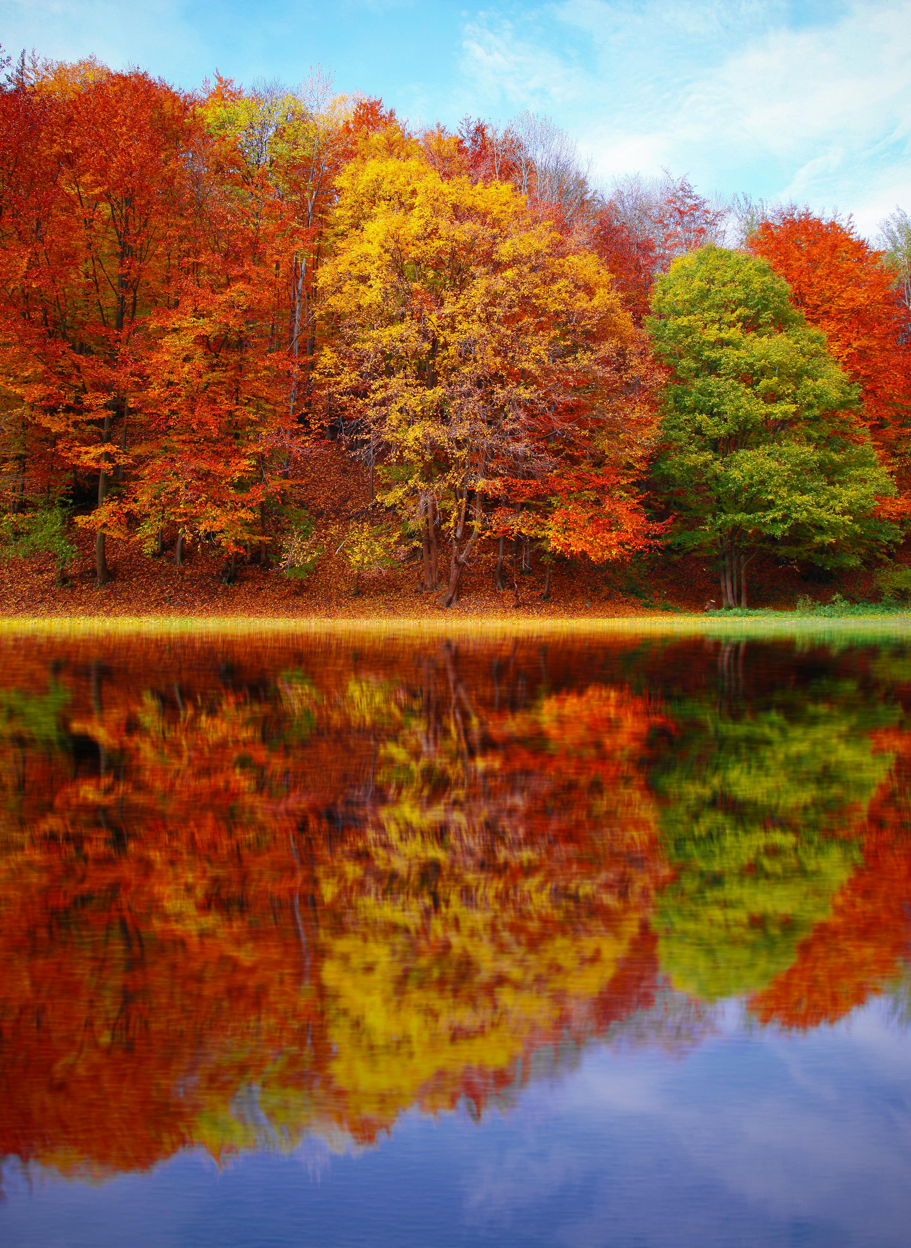 See, Spiegelung, Bunter Herbstwald, Blauer Himmel, QHD+, iPad-Hintergrundbild