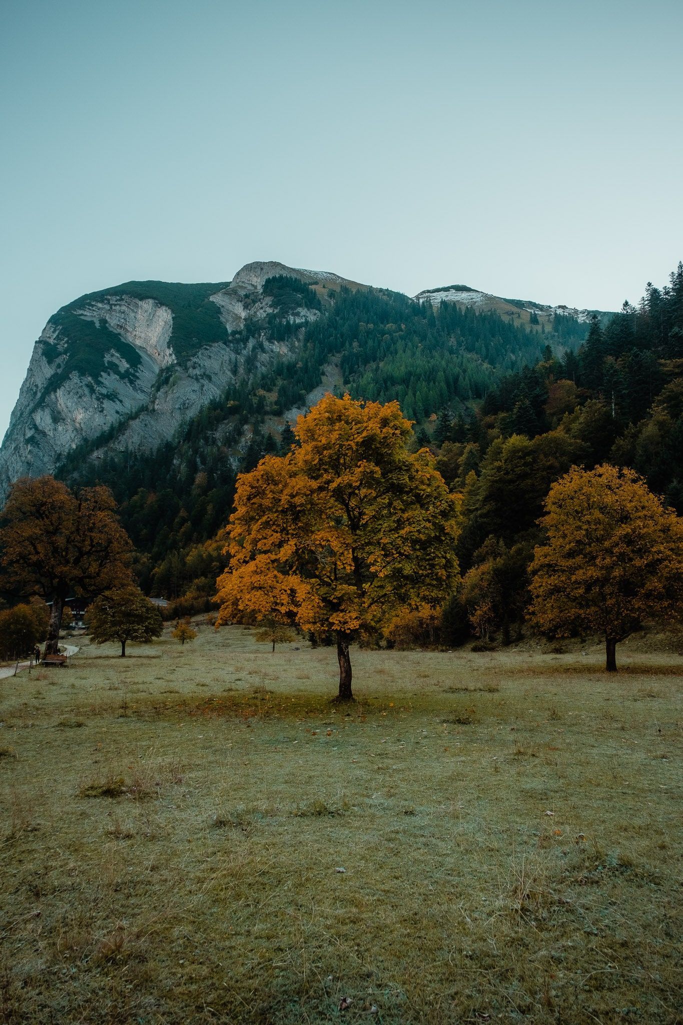 Berge, Wiese, Herbstbäume, Tal, Natur, Hochformat, Hintergrundbild fürs Smartphone