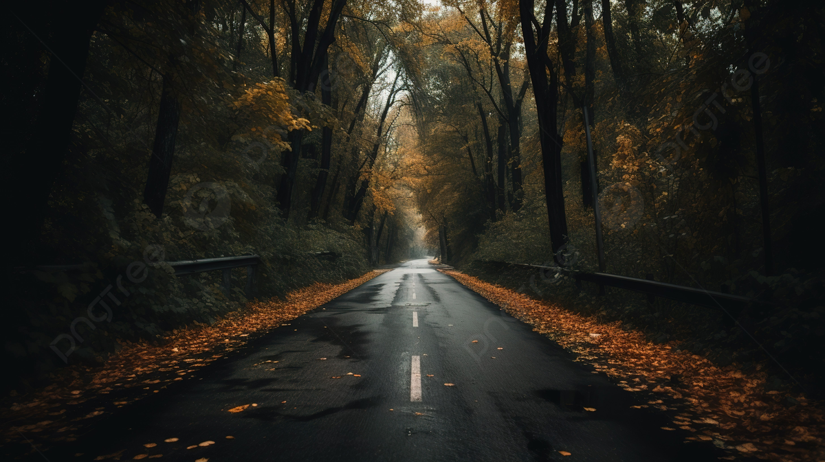 Landstraße, Waldstraße, Dunkle Stimmung, Herbstbäume, Nasse Straße, Hintergrundbild