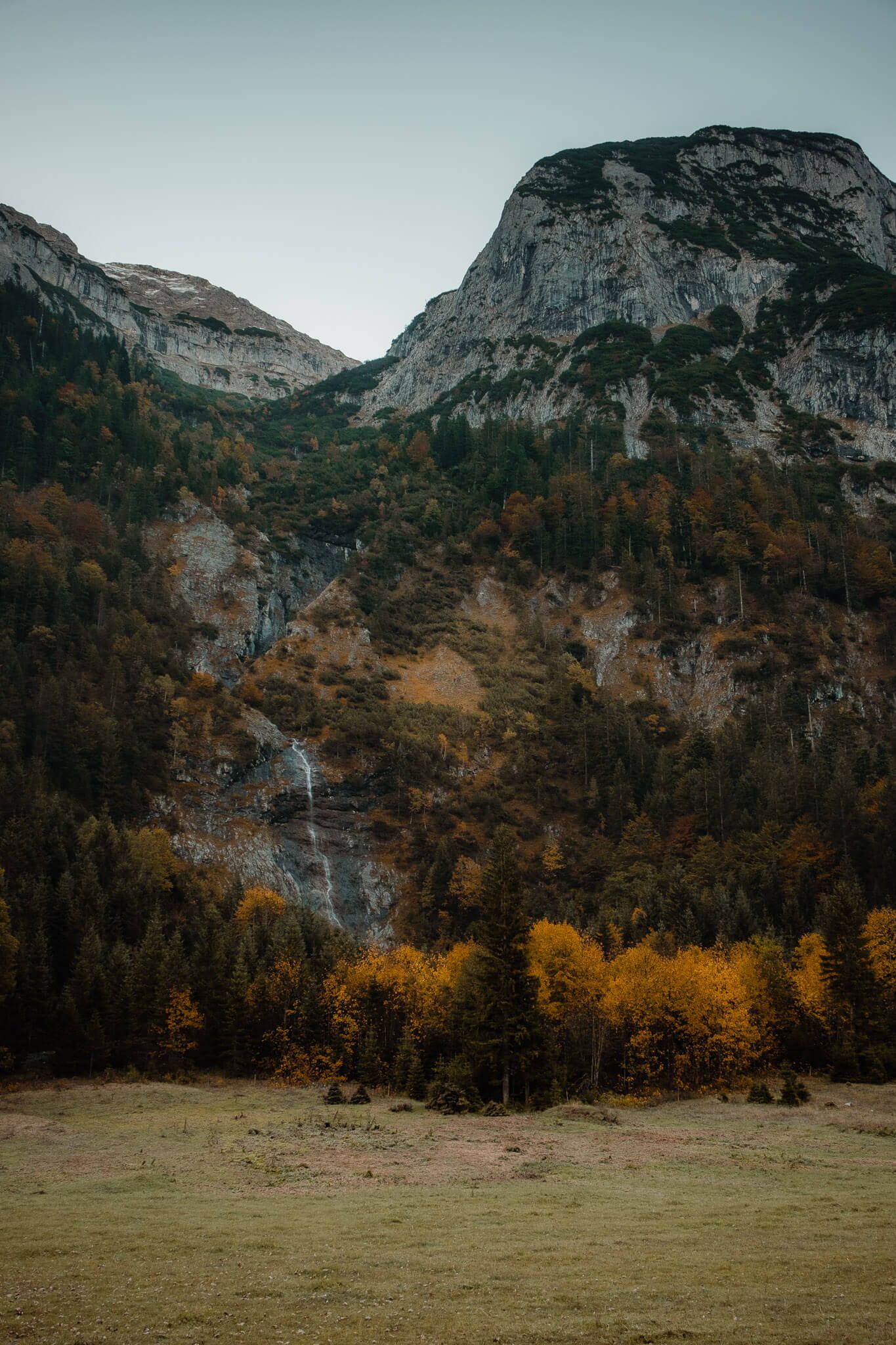 Berge, Felswand, Herbstwald, Wiese, Bewölkt, Hochformat, Hintergrundbild fürs Smartphone