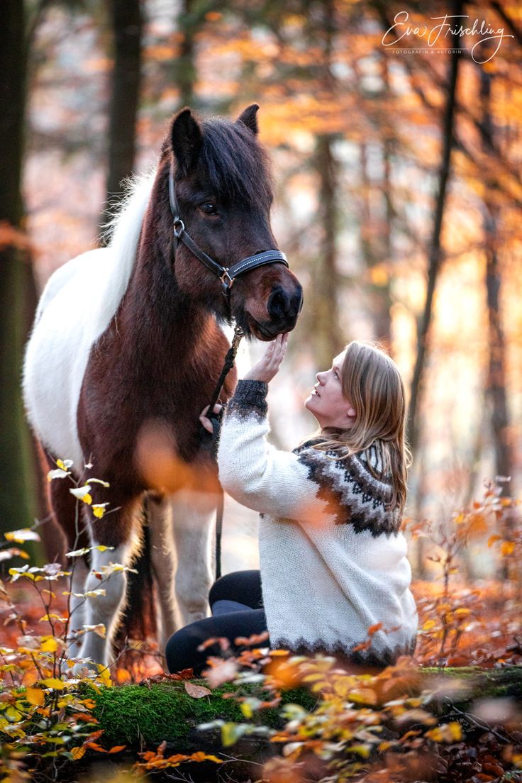 Pferd, Mädchen, Schecke, Freundschaft, Wald, Herbst, HD, Sperrbildschirm fürs iPhone