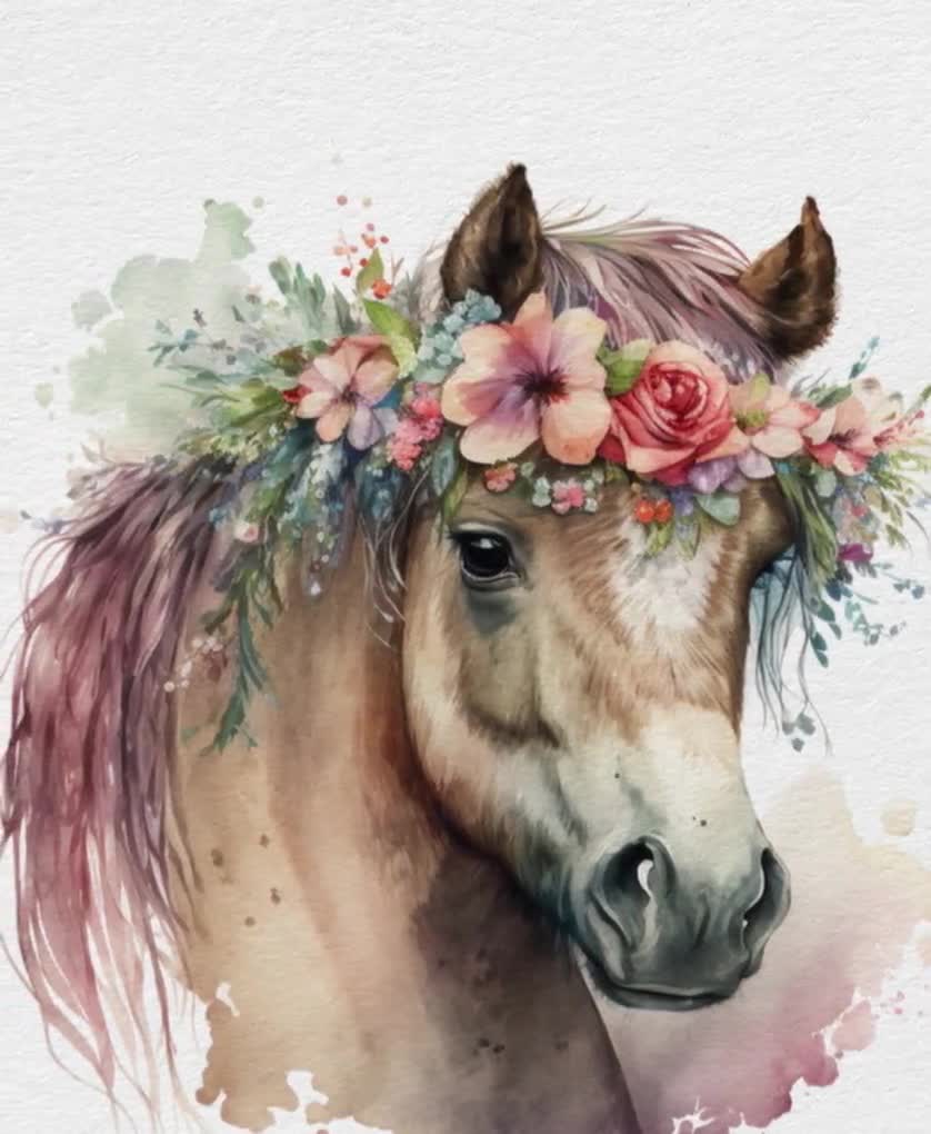 Aquarell, Pferdekopf, Blumenkranz, Illustration, Weißer Hintergrund, HD Wallpaper