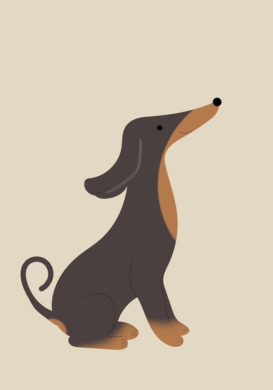 Teckel, Illustration, Schwarz-Braun, Beiger Hintergrund, Flat Design, HD Wallpaper