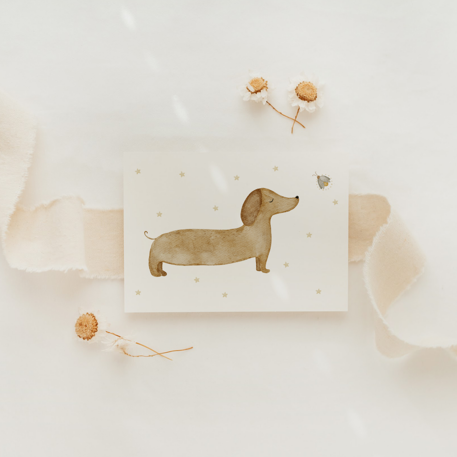 Dackel-Zeichnung, Karte, Trockenblumen, Beige, Flatlay, HD, Hintergrundbild fürs Tablet