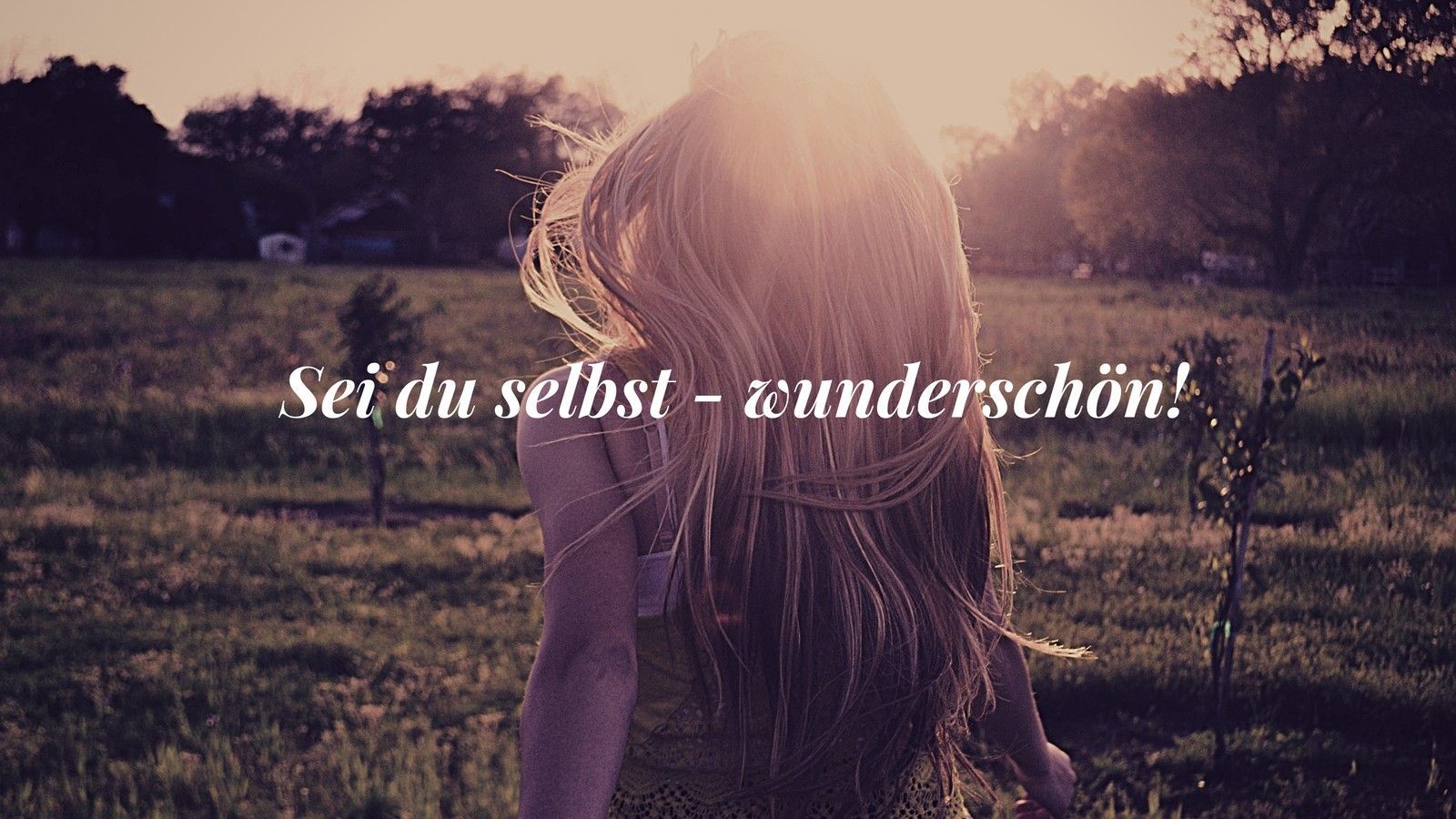 Sei du selbst – wunderschön!, Spruch, Junge Frau, Wiese, Gegenlicht, Abendlicht, HD-Hintergrundbild