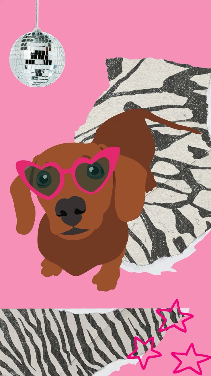 Dackel, Herzbrille, Discokugel, Zebramuster, Pink, HD, Handy-Hintergrund im Hochformat
