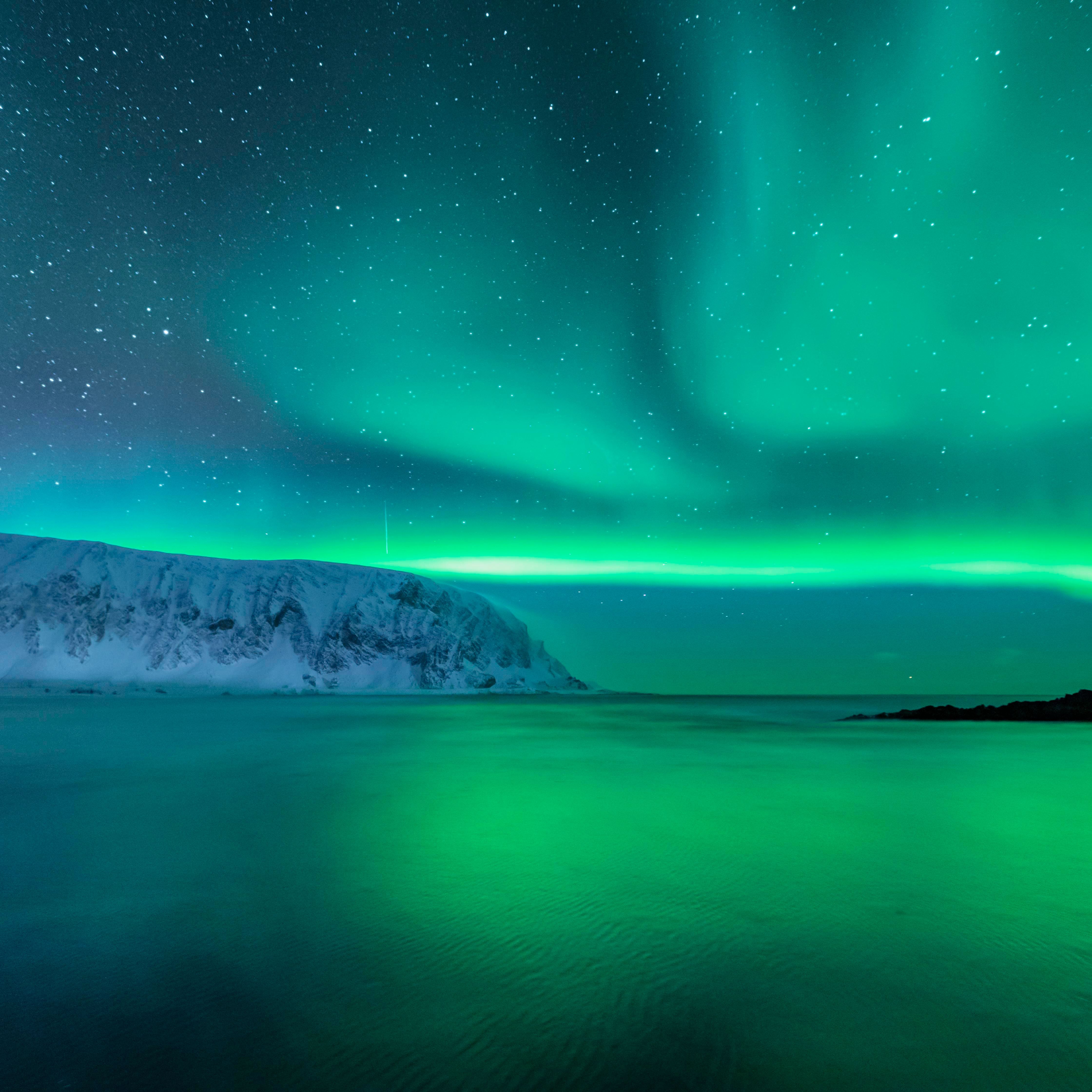 Nordlicht, Meer, Klippe, Grün, Spiegelung, 4K, Hintergrundbild fürs Tablet