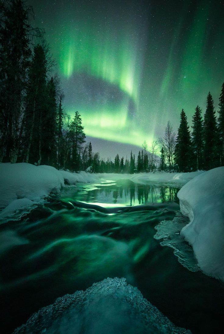 Polarlicht, Fluss, Tannen, Schnee, Winter, HD, iPad-Hintergrundbild